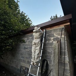 Dezynsekcja i deratyzacja Pilica 3