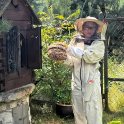 Osoba w kombinezonie ochronnym i siatce na twarzy trzyma w dłoniach duży plaster pszczeli przed drewnianym domkiem dla owadów, z którego wylatują pszczoły, w tle zielona roślinność i ogrodzenie...