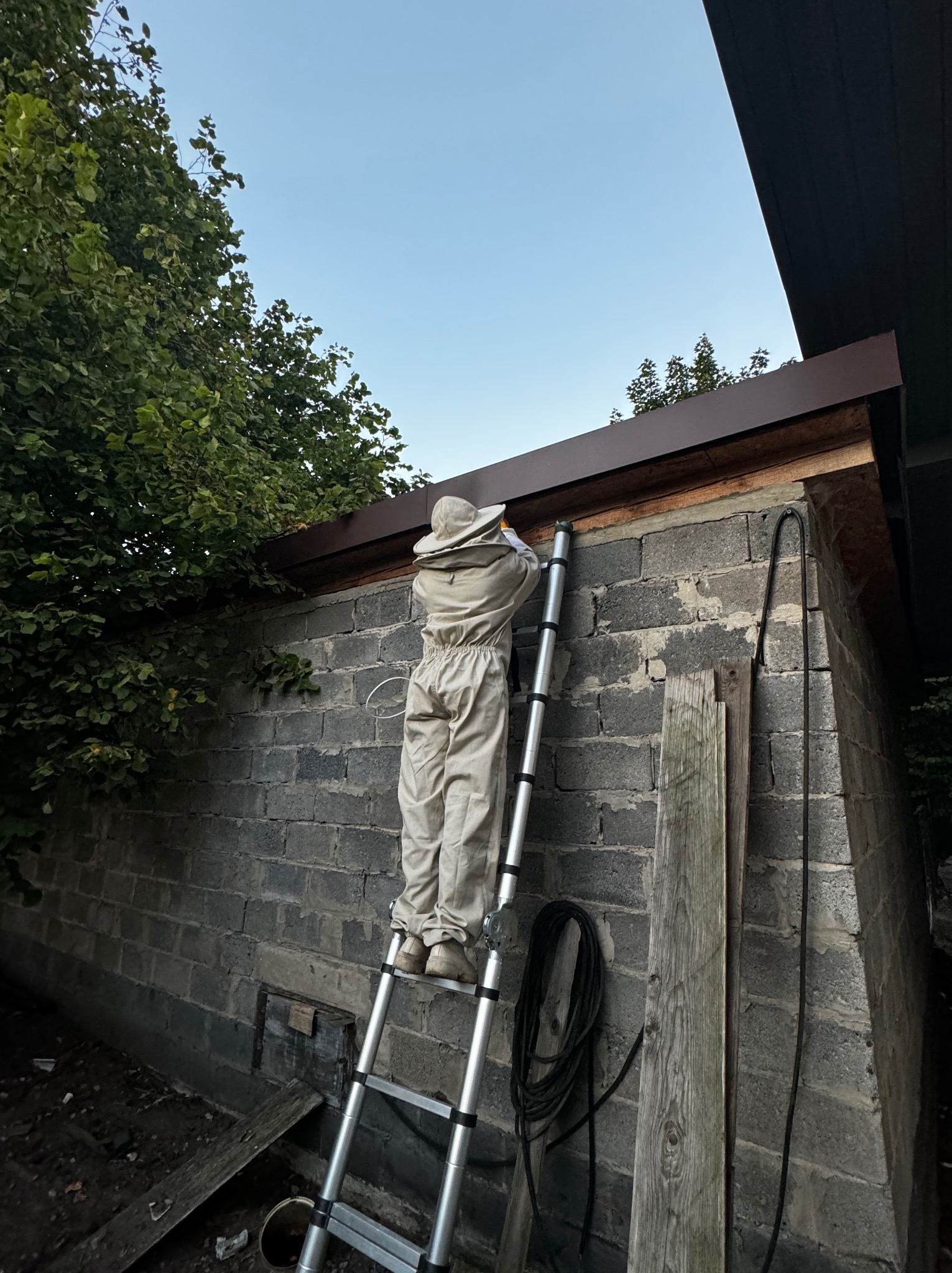 Osoba w kombinezonie ochronnym, stojąca na drabinie przy ścianie budynku z pustaków, prawdopodobnie zabezpiecza dach przed owadami.