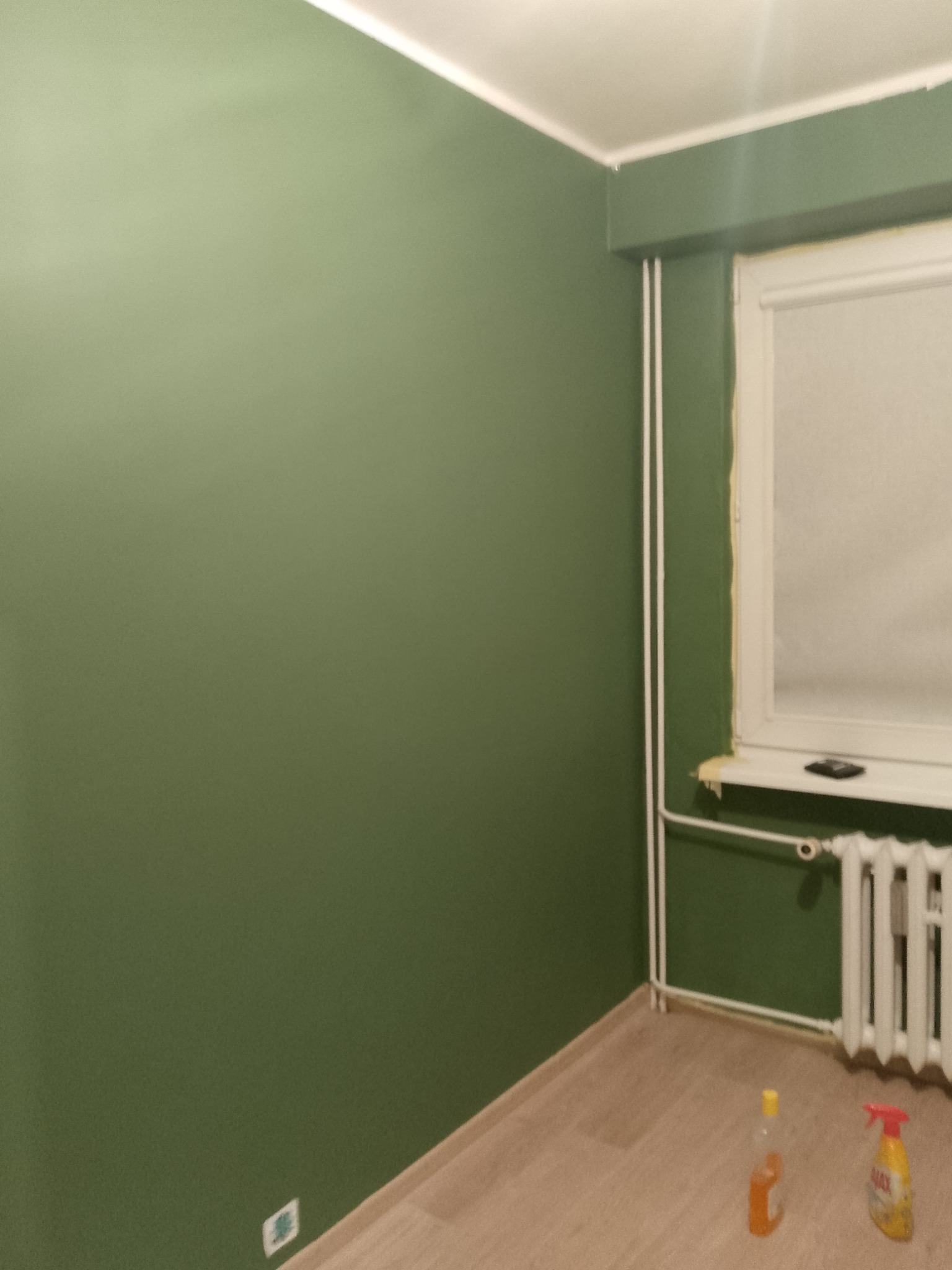 Ściana pomalowana na oliwkowy kolor, widoczny grzejnik i butelki z detergentami na podłodze z paneli.