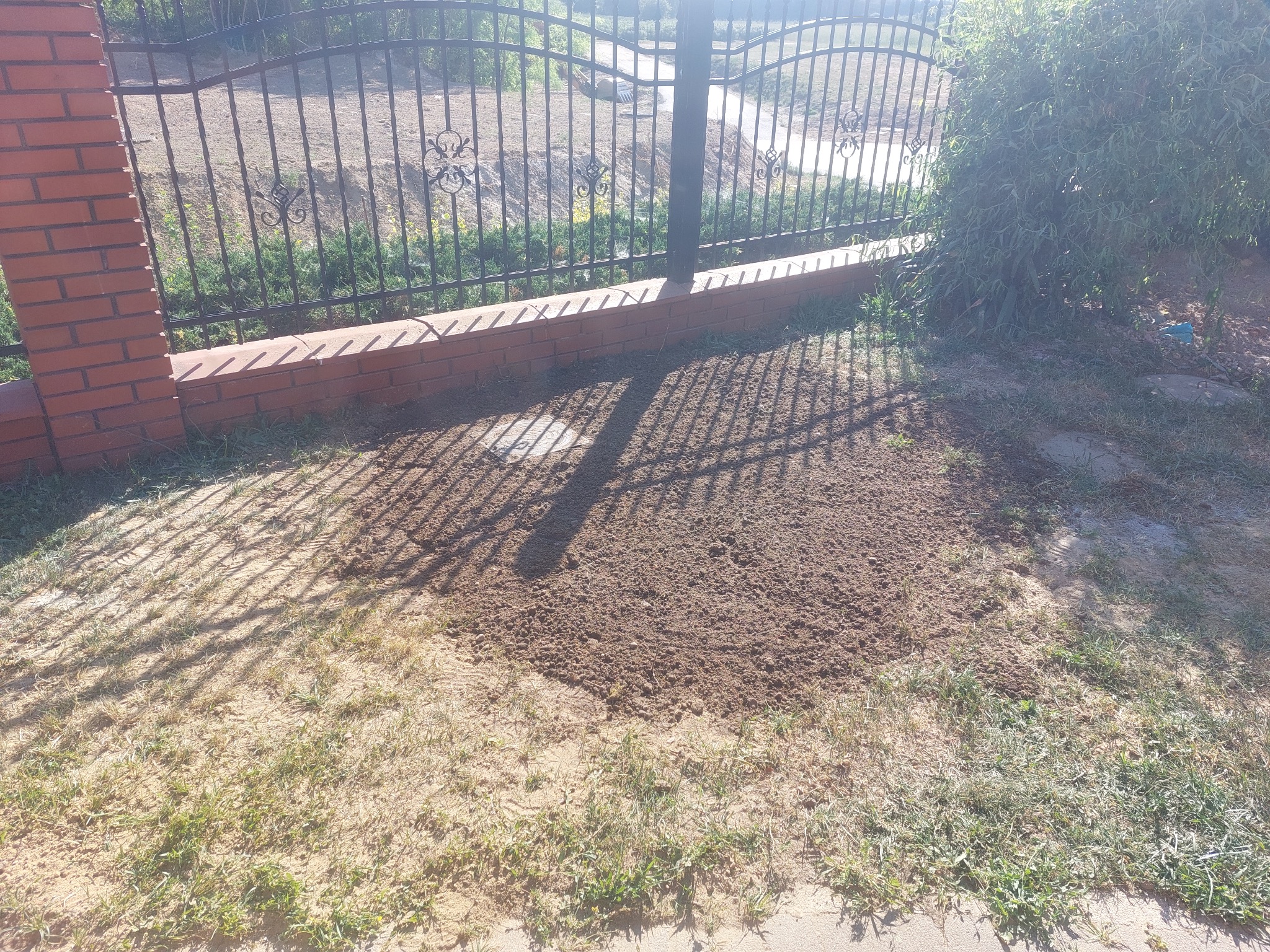 Przygotowany teren pod trawnik, świeżo wyrównana ziemia, widoczne ślady po grabiach, w tle ogrodzenie z cegły i metalu, cień rzucany przez ogrodzenie.