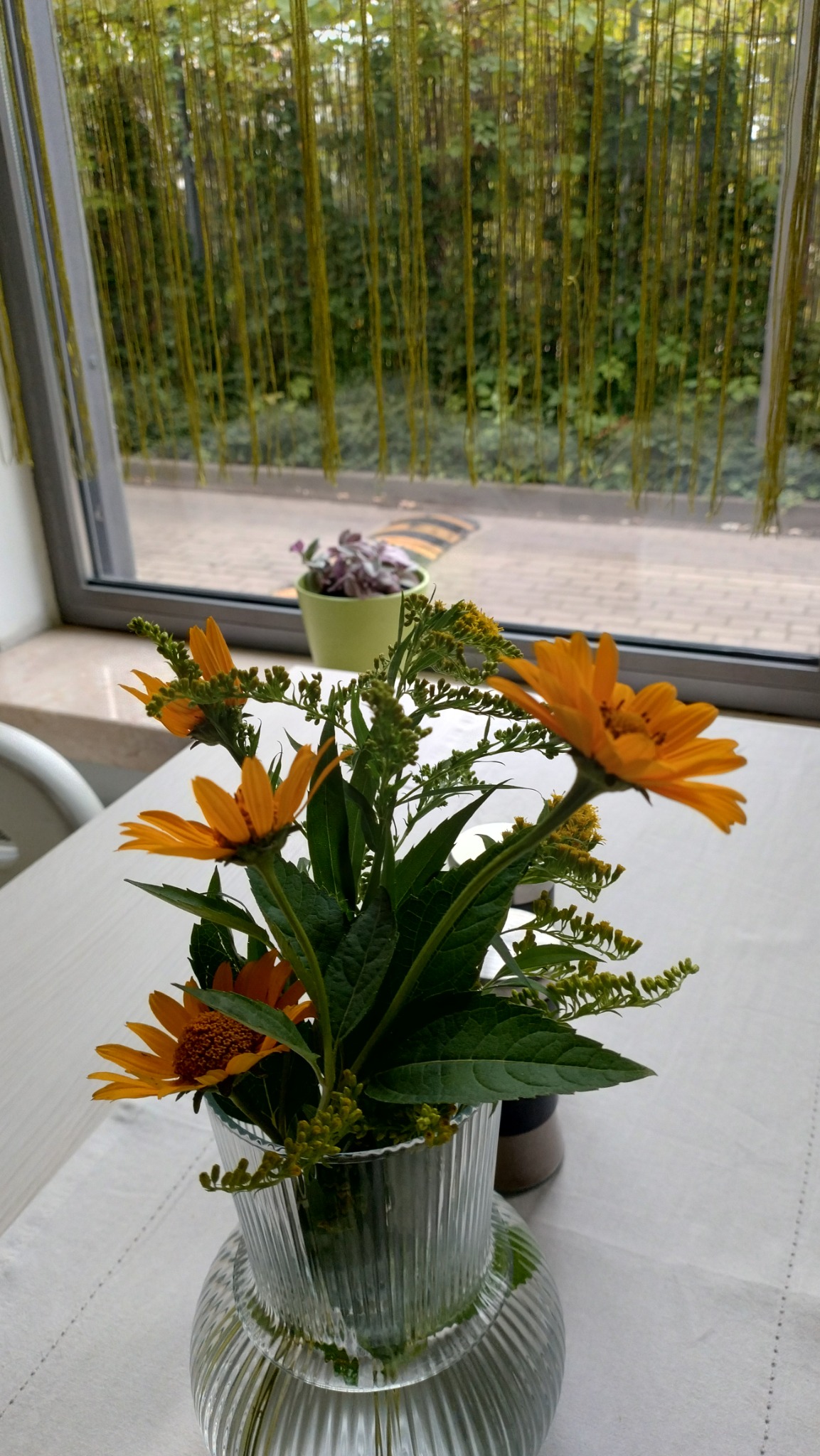 Bukiet pomarańczowych rudbekii i zielonych dodatków w szklanym wazonie na białym stole, z widokiem na ulicę przez okno z zielonymi pnączami.