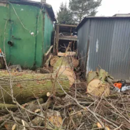 Świeżo pocięte kłody i gałęzie drzewa leżące pomiędzy dwoma blaszanymi garażami, obok pomarańczowej pilarki Stihl.