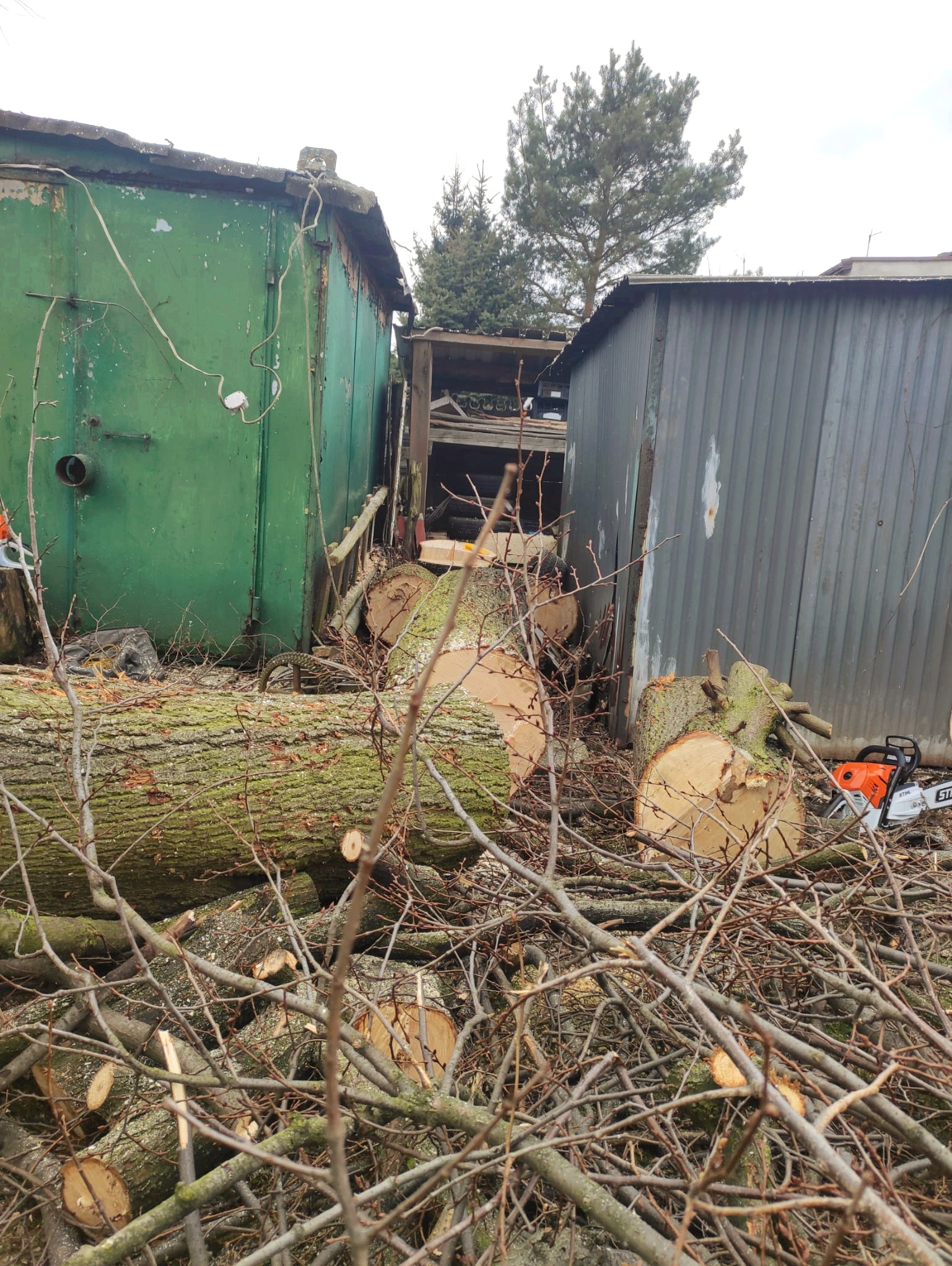 Świeżo pocięte kłody i gałęzie drzewa leżące pomiędzy dwoma blaszanymi garażami, obok pomarańczowej pilarki Stihl.