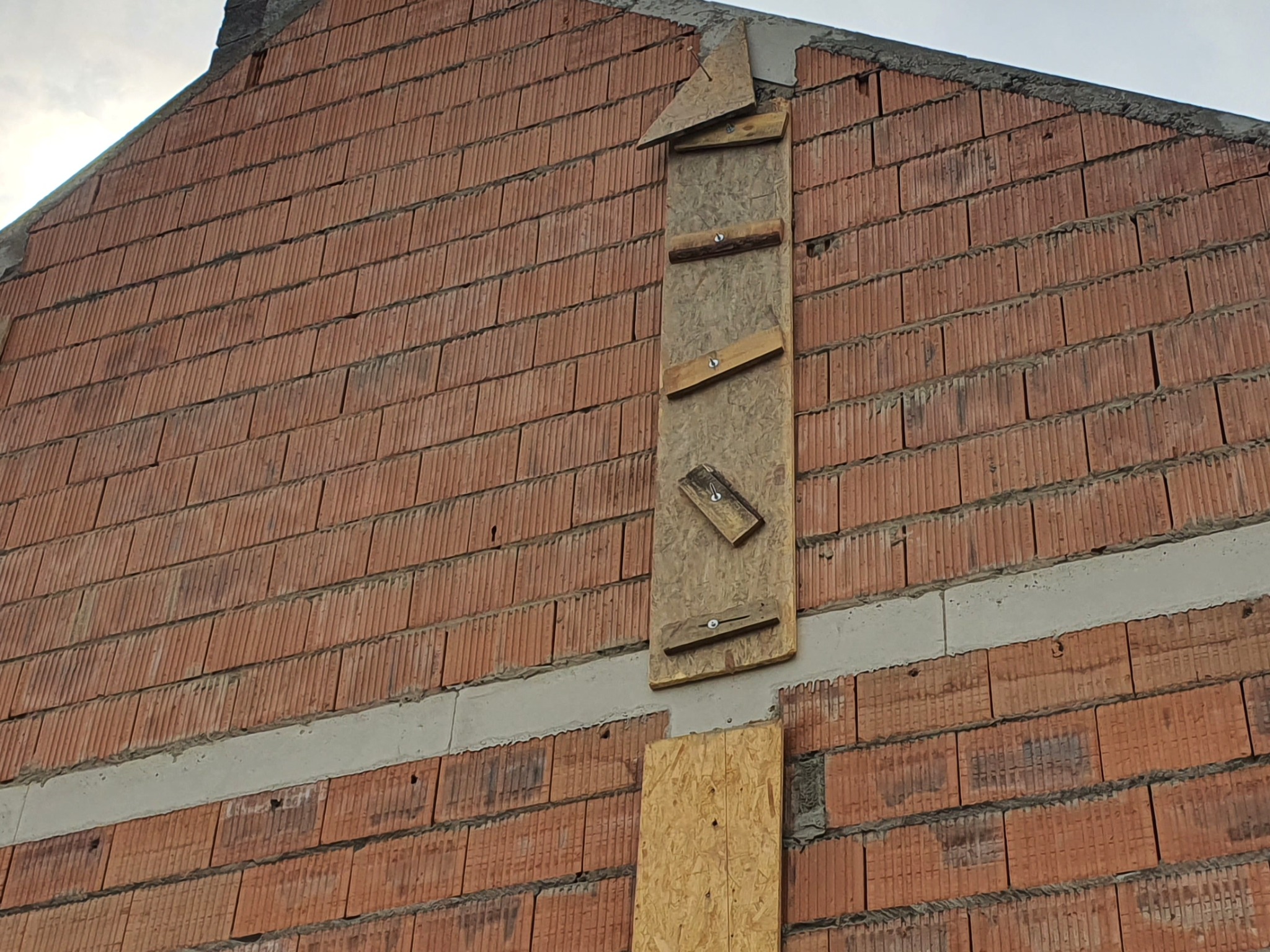 Ściana budynku w trakcie murowania z czerwonej cegły, widoczne drewniane elementy szalunku i poziome pasy betonu.