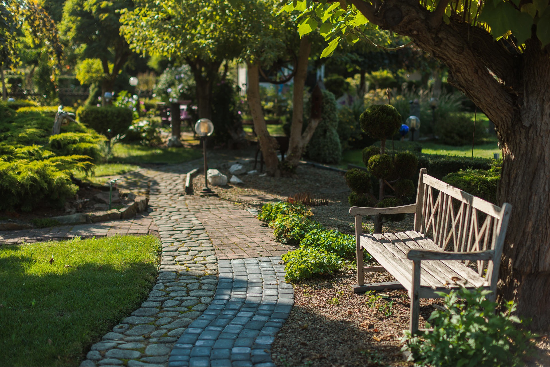 Urokliwy ogród z kamienną ścieżką i drewnianą ławką w cieniu drzewa. Starannie utrzymana zieleń i dekoracyjne krzewy tworzą relaksującą atmosferę.