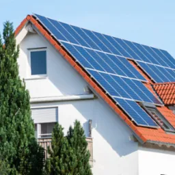 Instalacja fotowoltaiczna na dachu domu jednorodzinnego w Kielcach, widoczna zza wysokich, zielonych drzew iglastych. Panele słoneczne zamontowane na pomarańczowej dachówce. Widoczne okno dachowe.