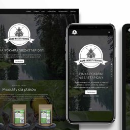 Tworzenie strony internetowej Agro Insekt Protein