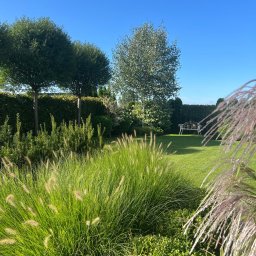 Zakładanie ogrodów Poznań 1