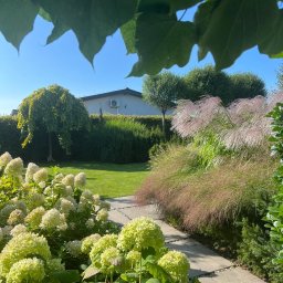 Zakładanie ogrodów Poznań 4