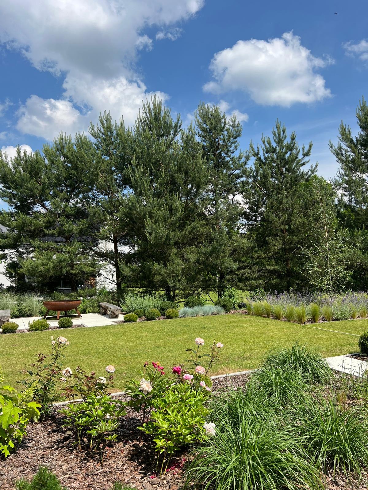 Starannie utrzymany trawnik z rabatami kwiatowymi i ozdobnymi trawami, rustykalne palenisko w tle, wysokie sosny, błękitne niebo z chmurami.