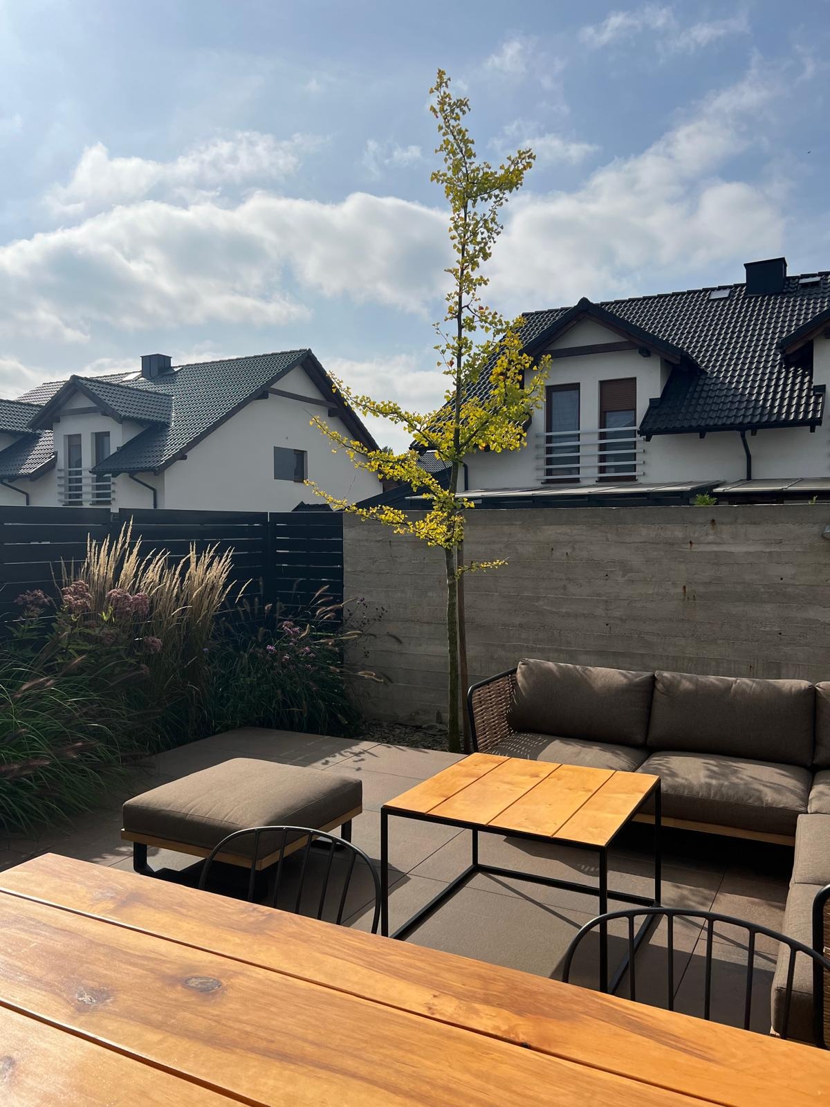 Nowoczesny ogród przydomowy z minimalistycznym betonowym ogrodzeniem, drzewem z żółtymi liśćmi, dekoracyjnymi trawami, oraz meblami ogrodowymi z drewna i szarej tapicerki.