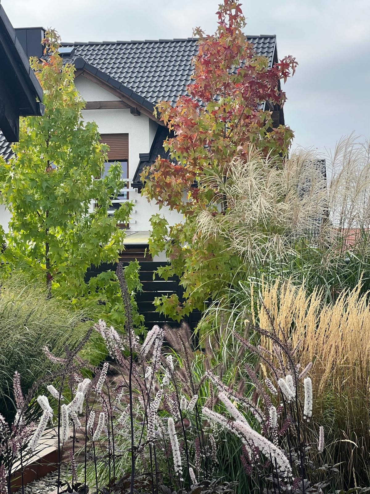 Ogród z ozdobnymi trawami i kwitnącymi bylinami na tle domu z ciemną dachówką, jesienne barwy drzew.