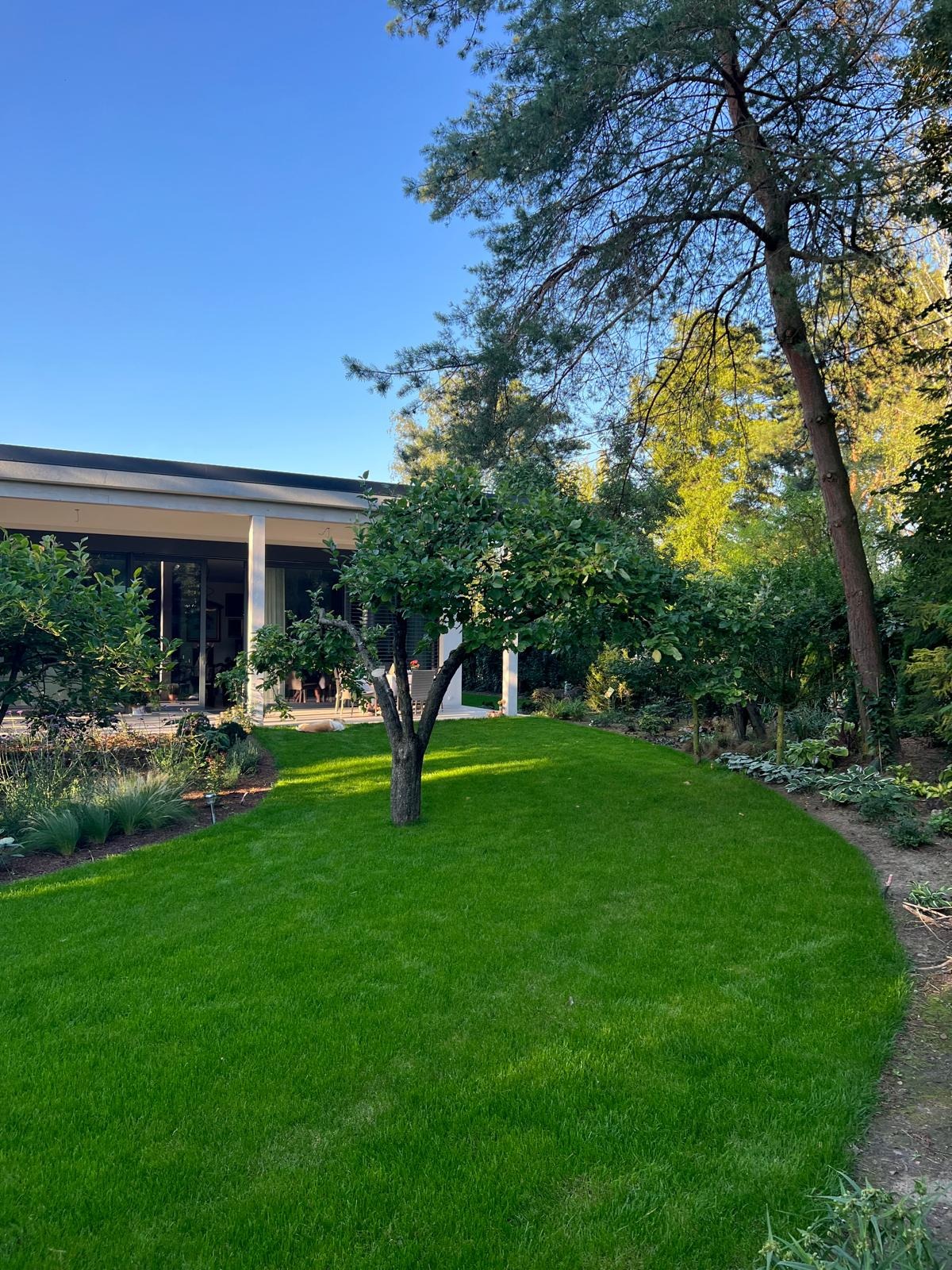 Zadbany trawnik z młodymi drzewkami owocowymi na tle nowoczesnego domu z tarasem, oświetlony popołudniowym słońcem.