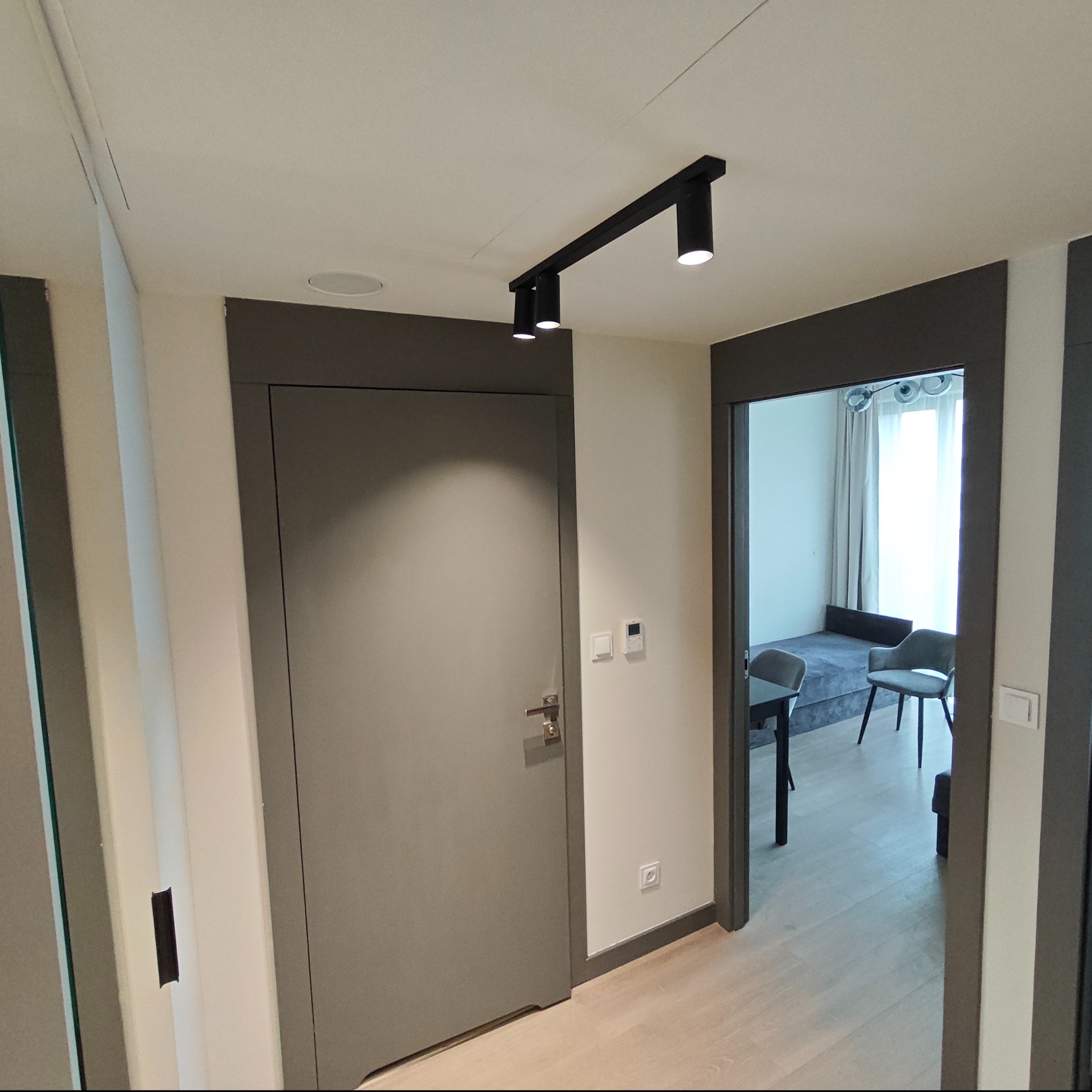 Szare drzwi z ościeżnicą i oświetleniem punktowym na suficie. W tle widoczny pokój z szarą sofą i krzesłami. Wykończenie wnętrza w stonowanej kolorystyce.