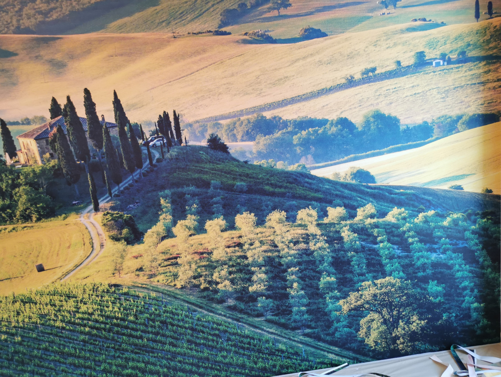 Fototapeta przedstawiająca toskański krajobraz z cyprysami, winnicami i kamiennym domem na wzgórzu, widoczne fragmenty taśmy montażowej w dolnej części kadru.