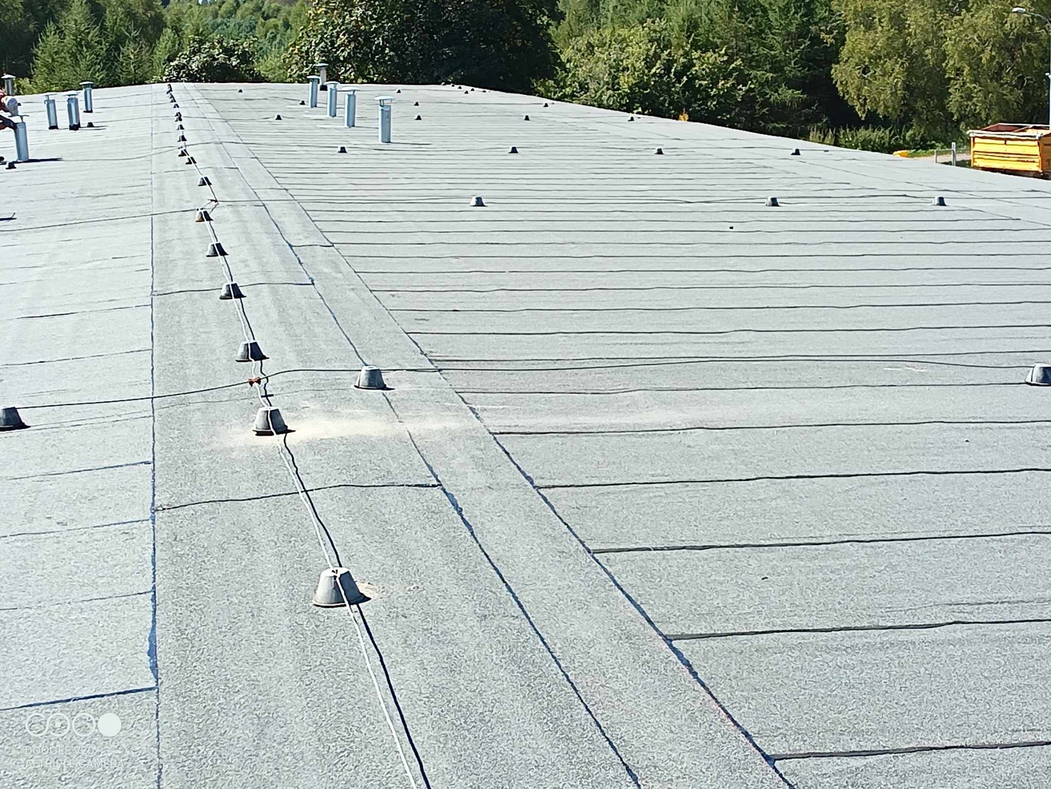 Płaski dach pokryty szarą papą z widocznymi kominkami wentylacyjnymi i odgromnikami z przewodami, na tle zieleni drzew.