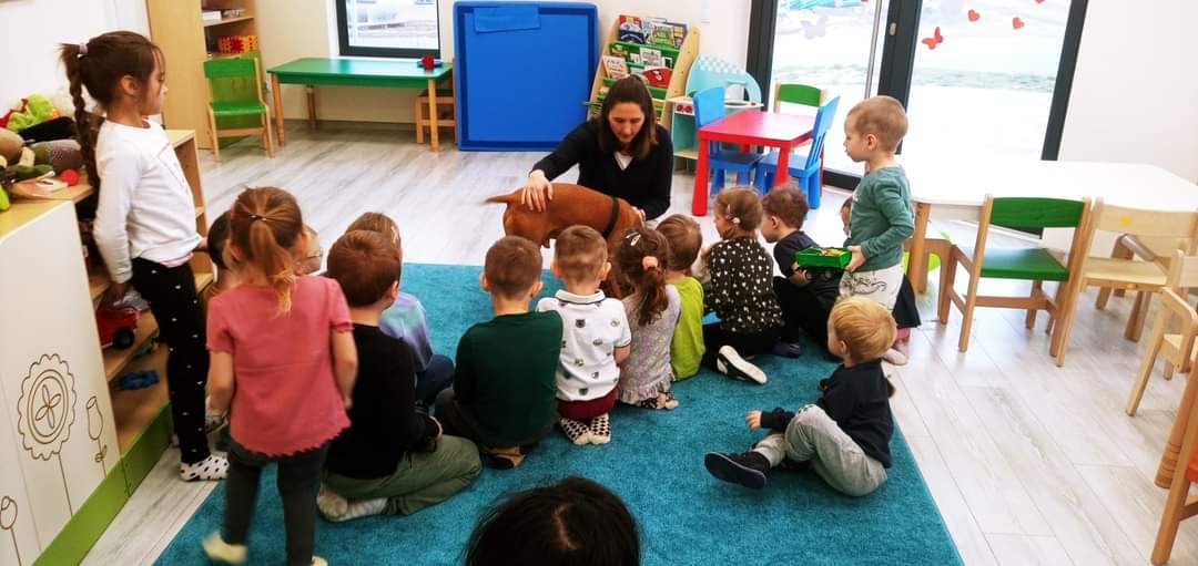 Grupa dzieci siedzi na niebieskim dywanie w sali, a opiekunka prezentuje im brązowego psa rasy jamnik.