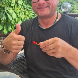 Jacek Ellert - Usługi Malarskie Gdańsk