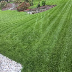 ProfGrass - Bezkonkurencyjne Trawniki Warszawa