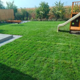 ProfGrass - Świeżo założony trawnik z rolki, widok na plac zabaw z drewnianą zjeżdżalnią, obrzeża z kostki brukowej i drewnianą piaskownicę. Słoneczny dzień, zadbany ogród.