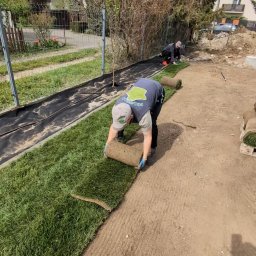 ProfGrass - Pracownicy układają trawę z rolki na przygotowanym terenie. Widoczny fragment ogrodu z siatką i domami w tle. Jeden z pracowników rozwija rolkę trawy.