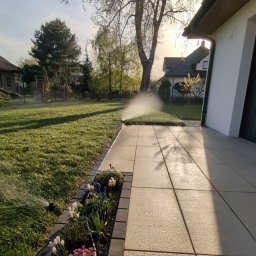 ProfGrass - Zraszacz nawadnia trawnik obok tarasu z jasnej kostki. Rabata kwiatowa oddziela trawnik od tarasu. W tle drzewa i budynki w porannym słońcu.