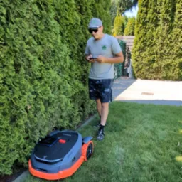 Mężczyzna kontroluje smartfonem pracę robota koszącego trawę przy żywopłocie z tui w słonecznym ogrodzie.