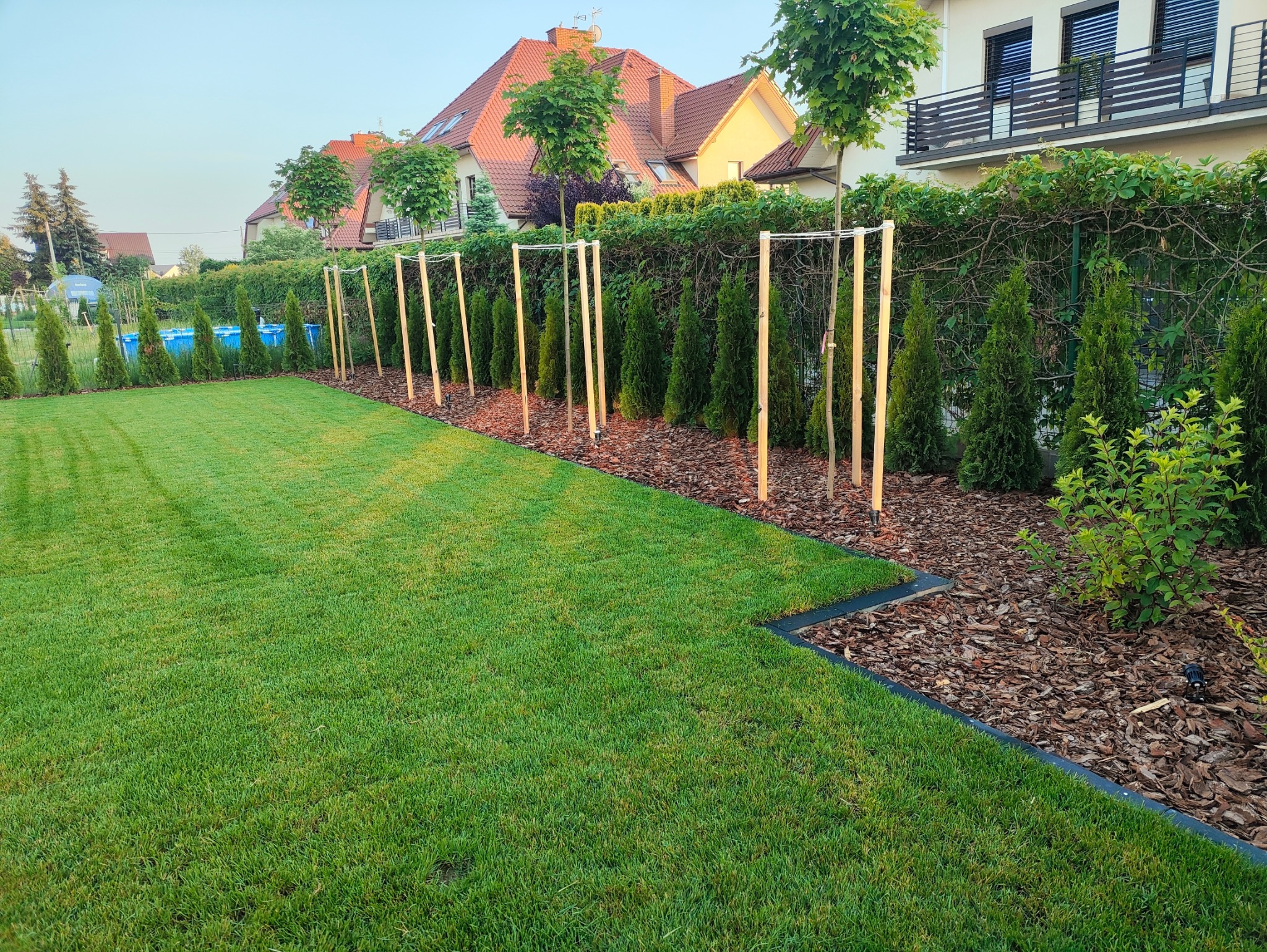 Starannie utrzymany trawnik z równo przystrzyżoną trawą, obrzeża z kostki, drzewka podparte drewnianymi stemplami, kora i tuje wzdłuż ogrodzenia, w tle domy.