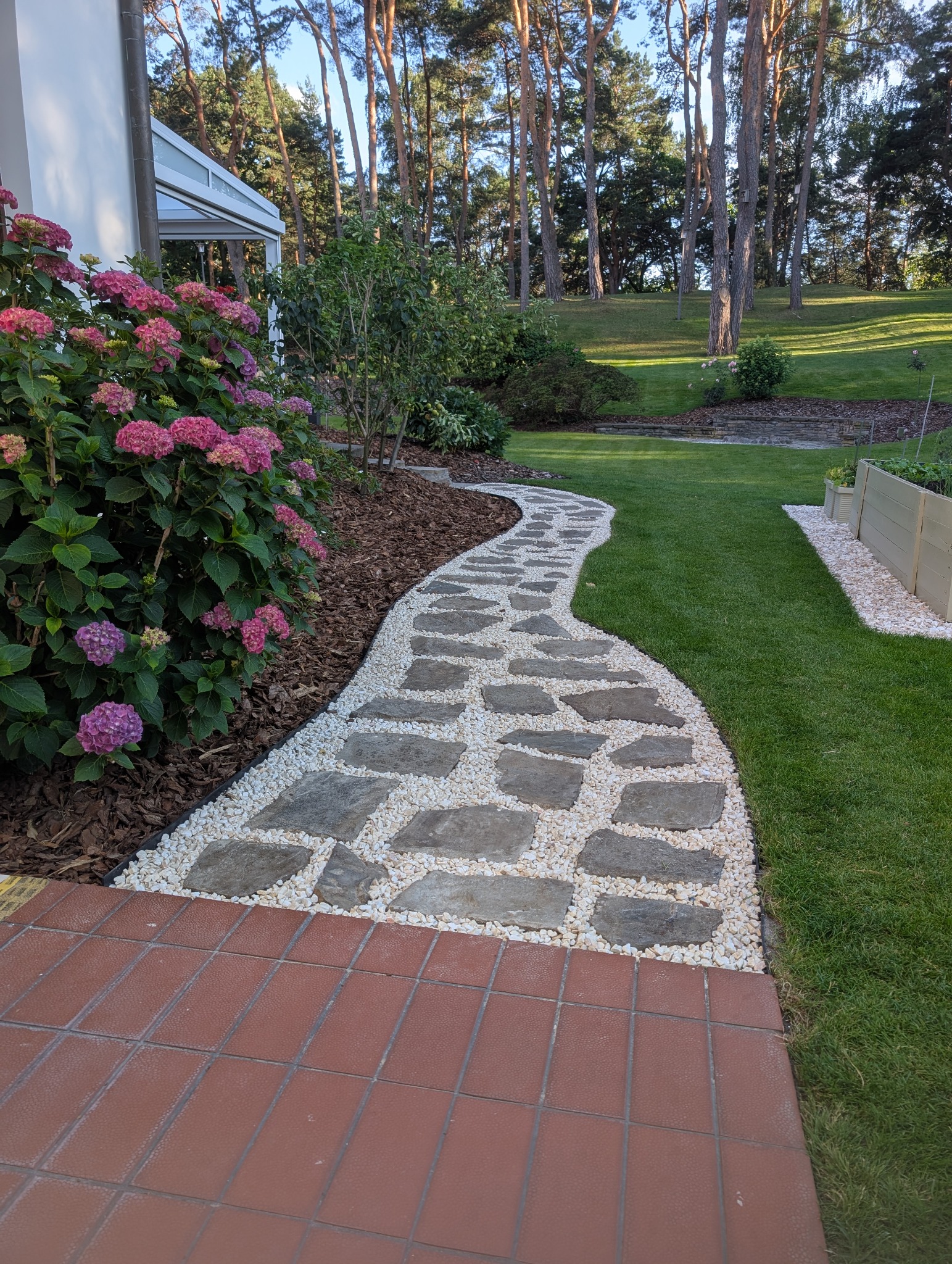 Kręta ścieżka z kamiennych płyt i białego żwiru w ogrodzie, obok rabata z hortensjami i trawnik. Widok na zadbany ogród z drzewami w tle.