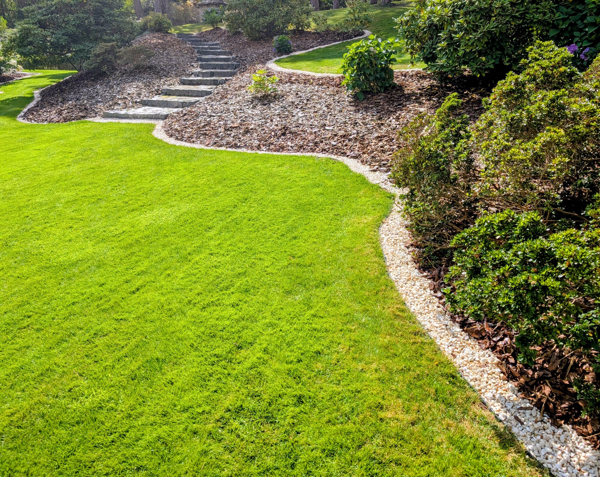 Zadbany ogród z intensywnie zielonym trawnikiem, ścieżką z kamiennych stopni i rabatami wysypanymi korą, obrzeża z białych kamyczków, krzewy. Słoneczny dzień.