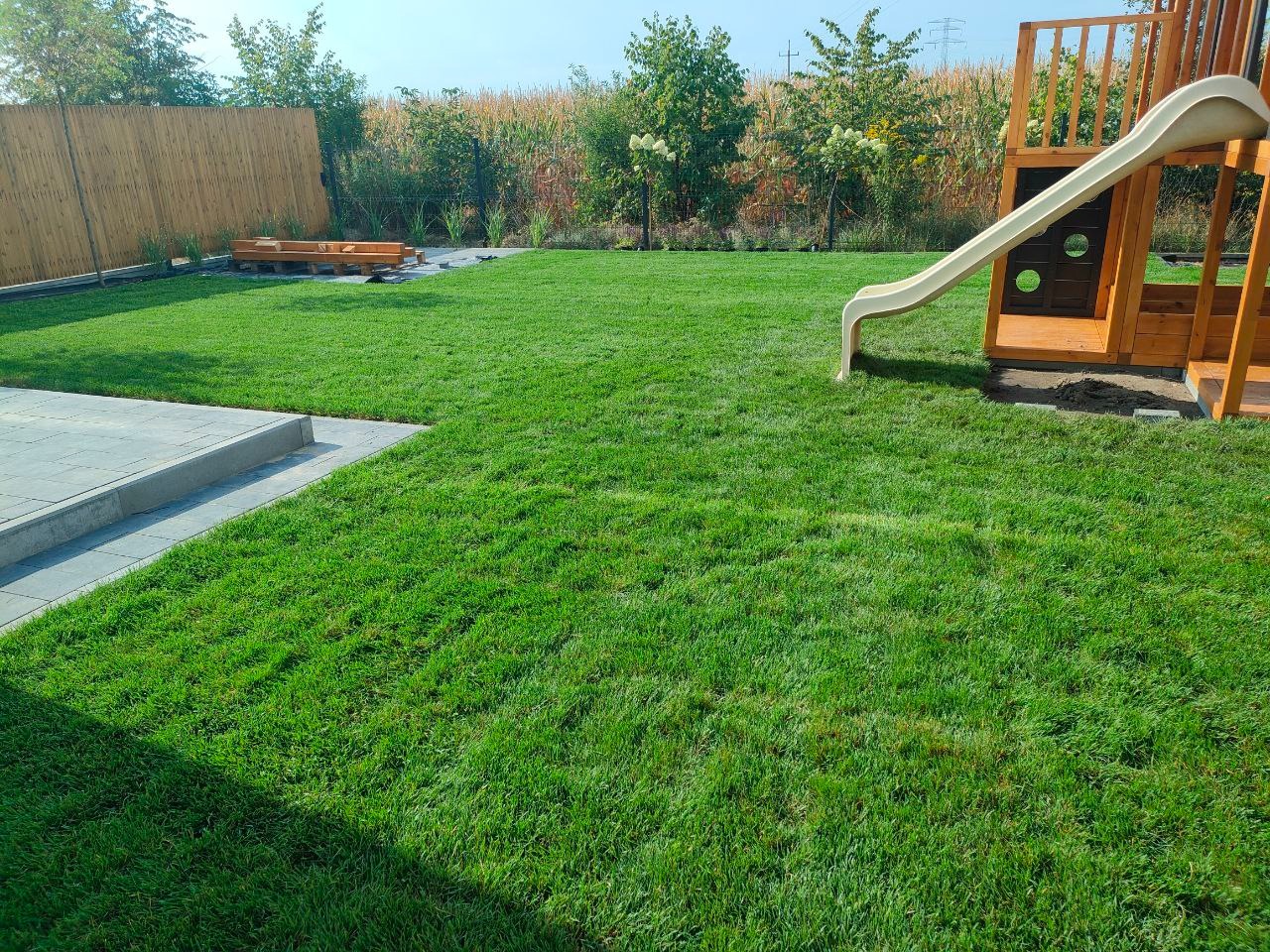 Świeżo założony trawnik z rolki, widok na plac zabaw z drewnianą zjeżdżalnią, obrzeża z kostki brukowej i drewnianą piaskownicę. Słoneczny dzień, zadbany ogród.
