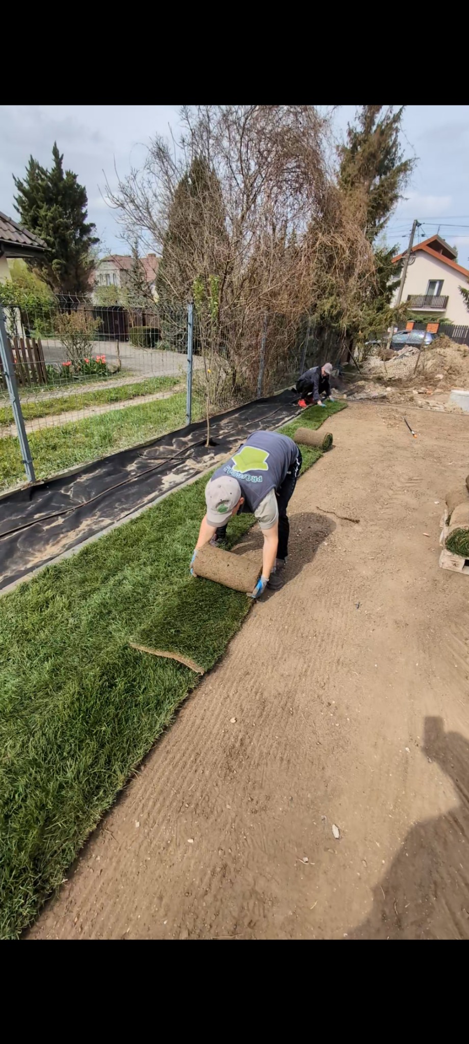 Pracownicy układają trawę z rolki na przygotowanym terenie. Widoczny fragment ogrodu z siatką i domami w tle. Jeden z pracowników rozwija rolkę trawy.