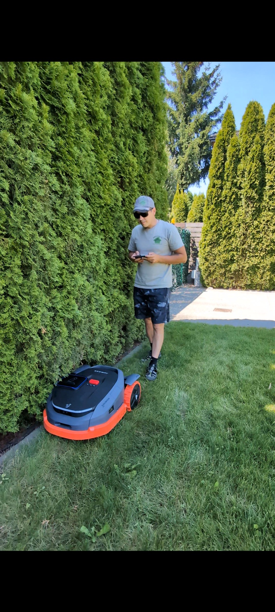 Mężczyzna kontroluje smartfonem pracę robota koszącego trawę przy żywopłocie z tui w słonecznym ogrodzie.