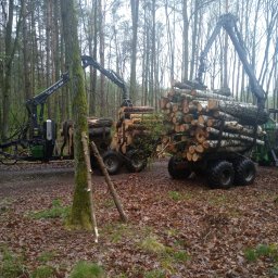 Zakład usług leśnych Józef Bieniek - Dwa traktory z żurawiami leśnymi załadowane świeżo ściętymi kłodami drewna w lesie liściastym, widoczne ślady po wycince.