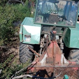 Wycinka drzew Złoty Stok 4