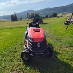 Wycinka drzew Złoty Stok 1