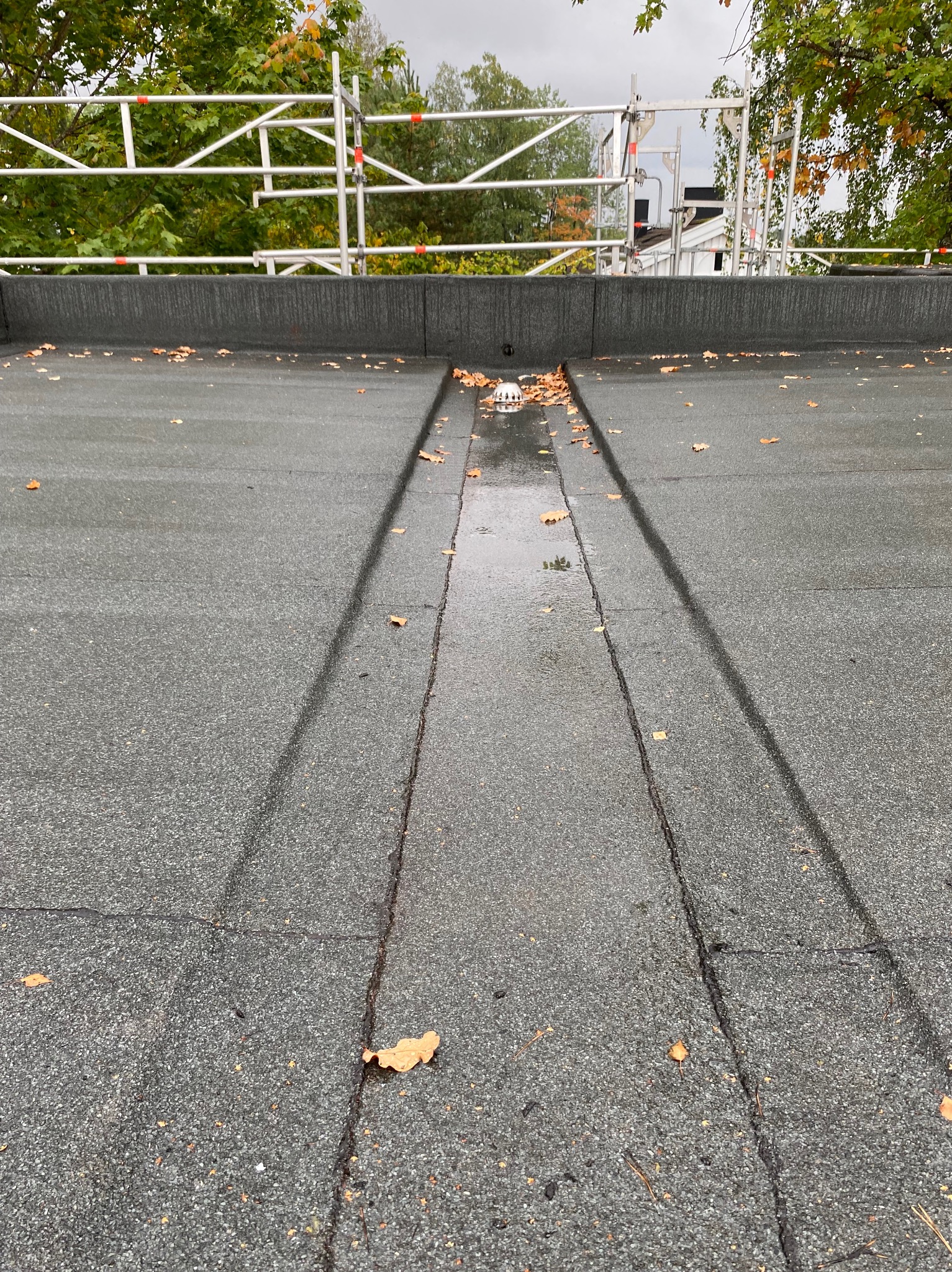Płaski dach pokryty papą z widocznym odpływem i niewielką ilością liści. W tle rusztowanie i drzewa.