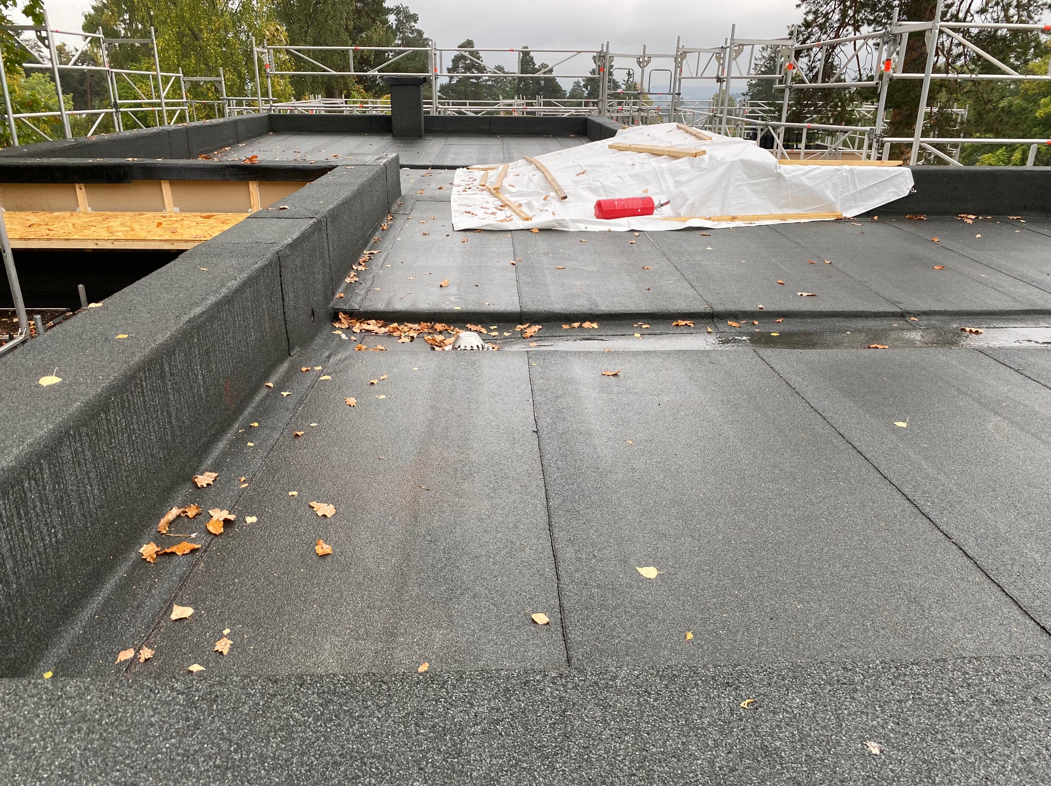 Płaski dach pokryty papą, z widocznymi łączeniami i detalami wykończeniowymi. Na dachu leżą jesienne liście, biała plachta i częściowo widoczne rusztowanie.