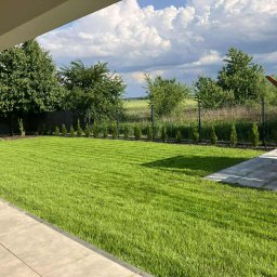 Tomasz Malarski - Idealnie skoszony trawnik z rolki w Opolu, z równo posadzonymi tujami wzdłuż ogrodzenia. W tle zielone pola i malownicze chmury.