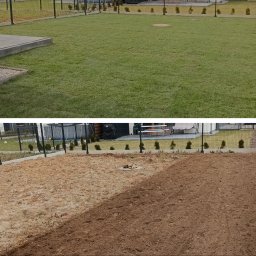 Zakładanie trawnik&oacute;w Opole