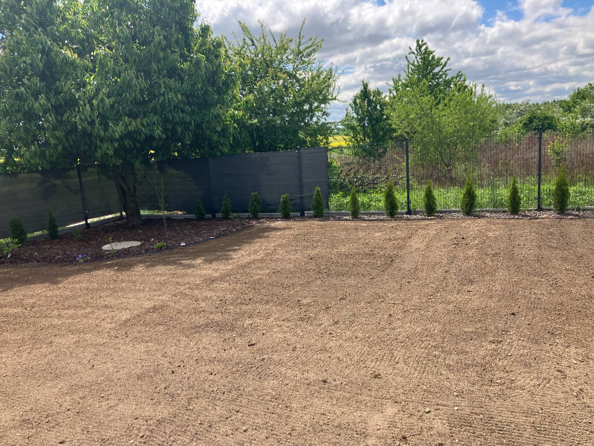 Przygotowany teren pod trawnik z rolki, widoczne małe tuje wzdłuż ogrodzenia panelowego. Trawa jeszcze nie położona. Słoneczny dzień.