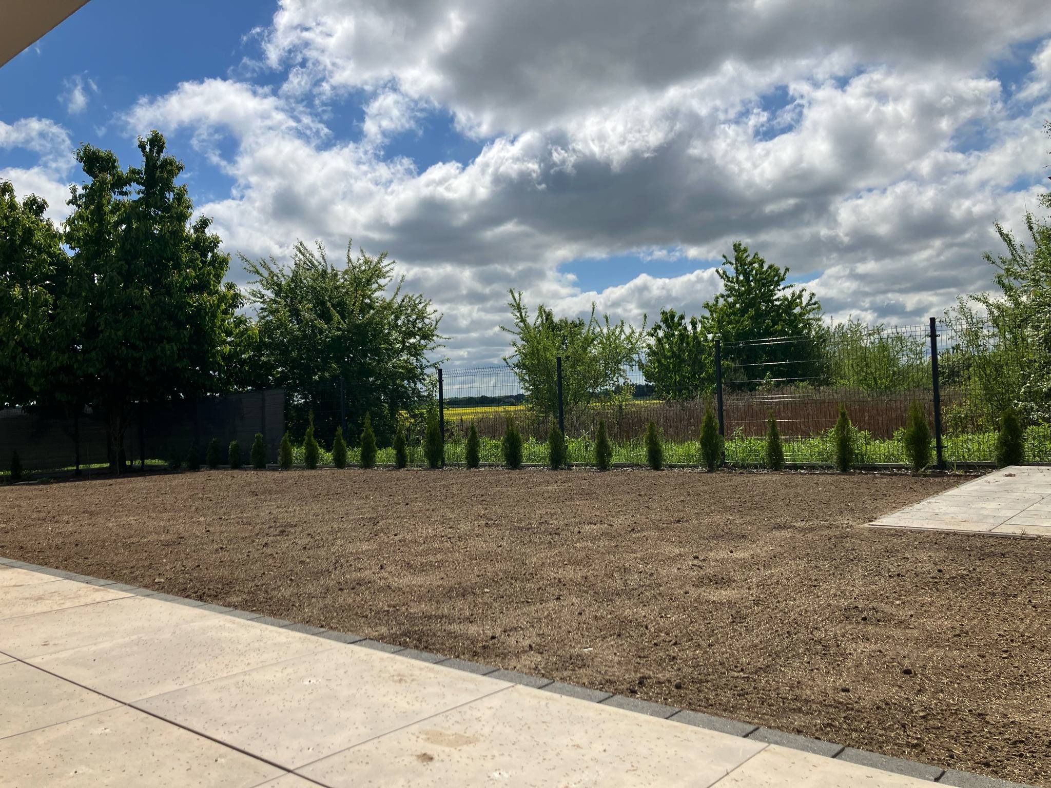 Przygotowany teren pod trawnik z widocznymi młodymi tujami wzdłuż ogrodzenia panelowego, na tle błękitnego nieba z chmurami. Częściowo widoczny taras.