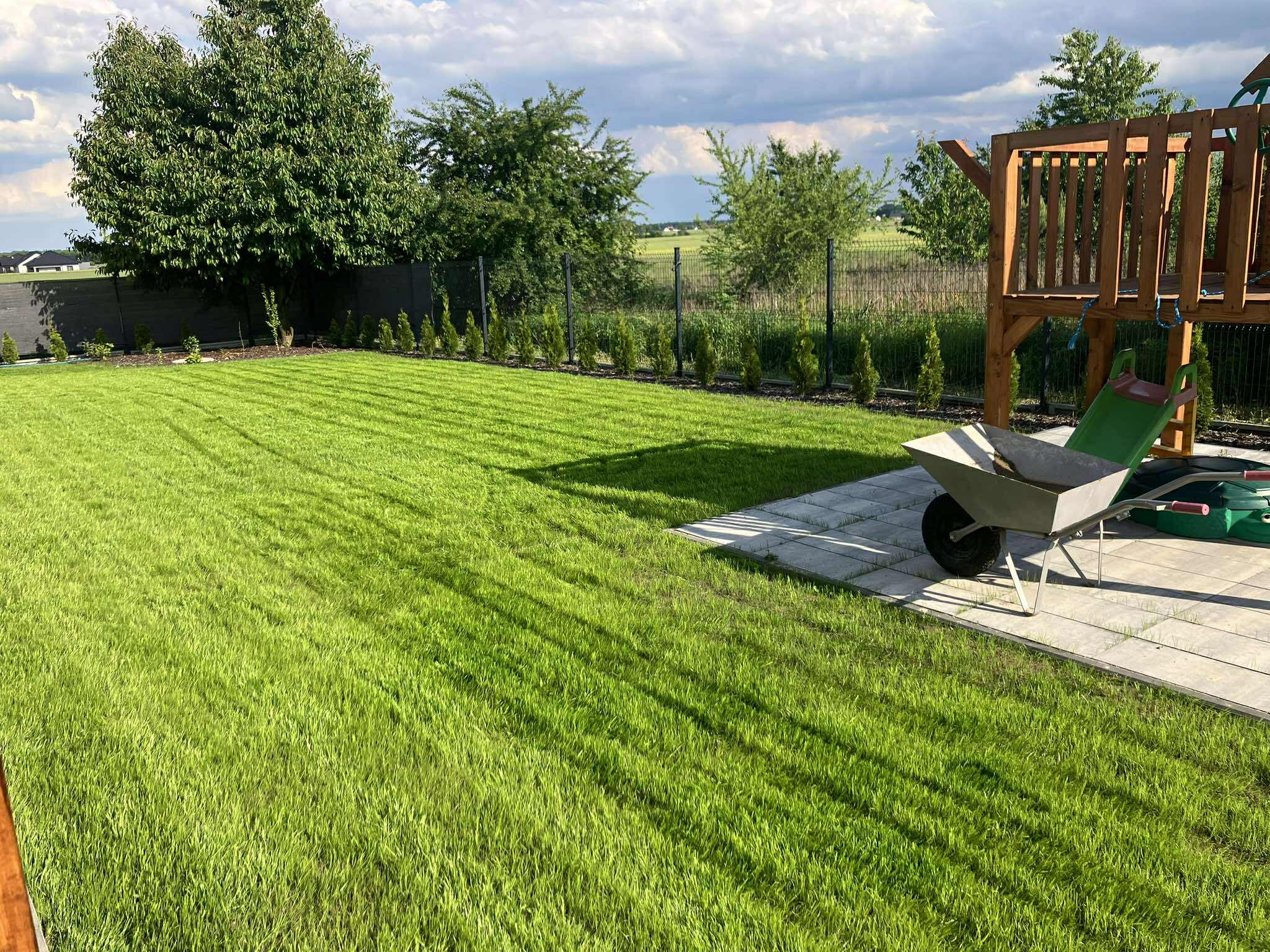 Zdjęcia od klienta miesiąc po zasianiu trawy