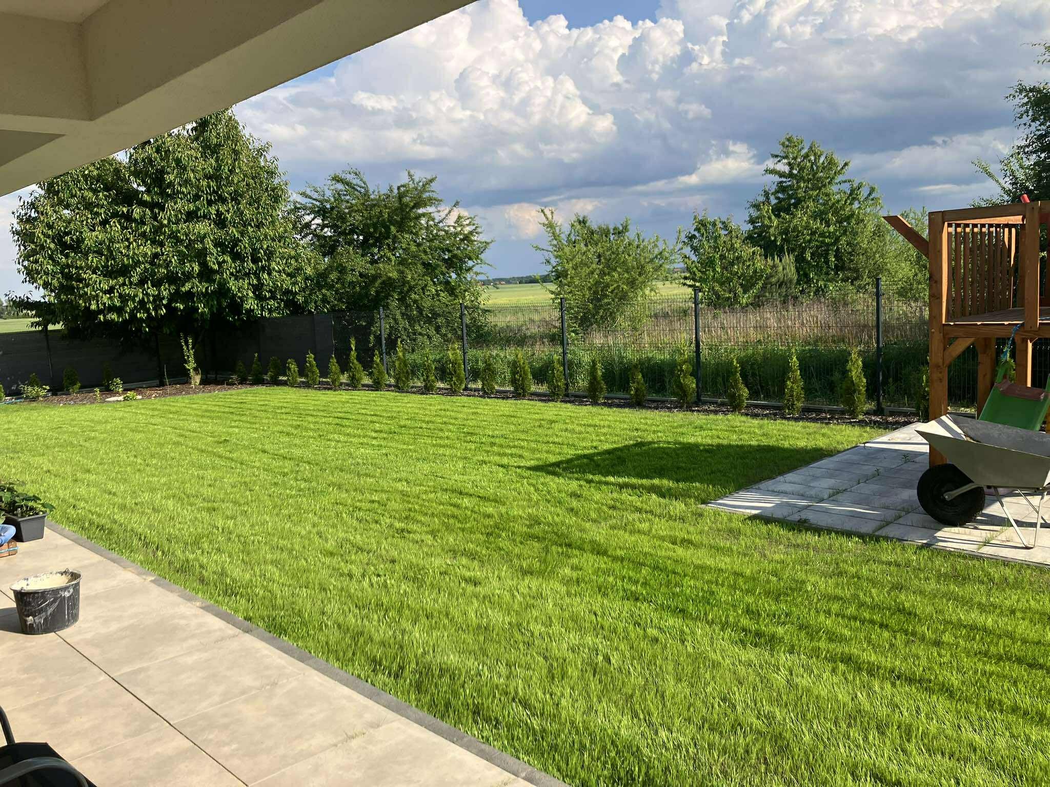 Idealnie skoszony trawnik z rolki w Opolu, z równo posadzonymi tujami wzdłuż ogrodzenia. W tle zielone pola i malownicze chmury.