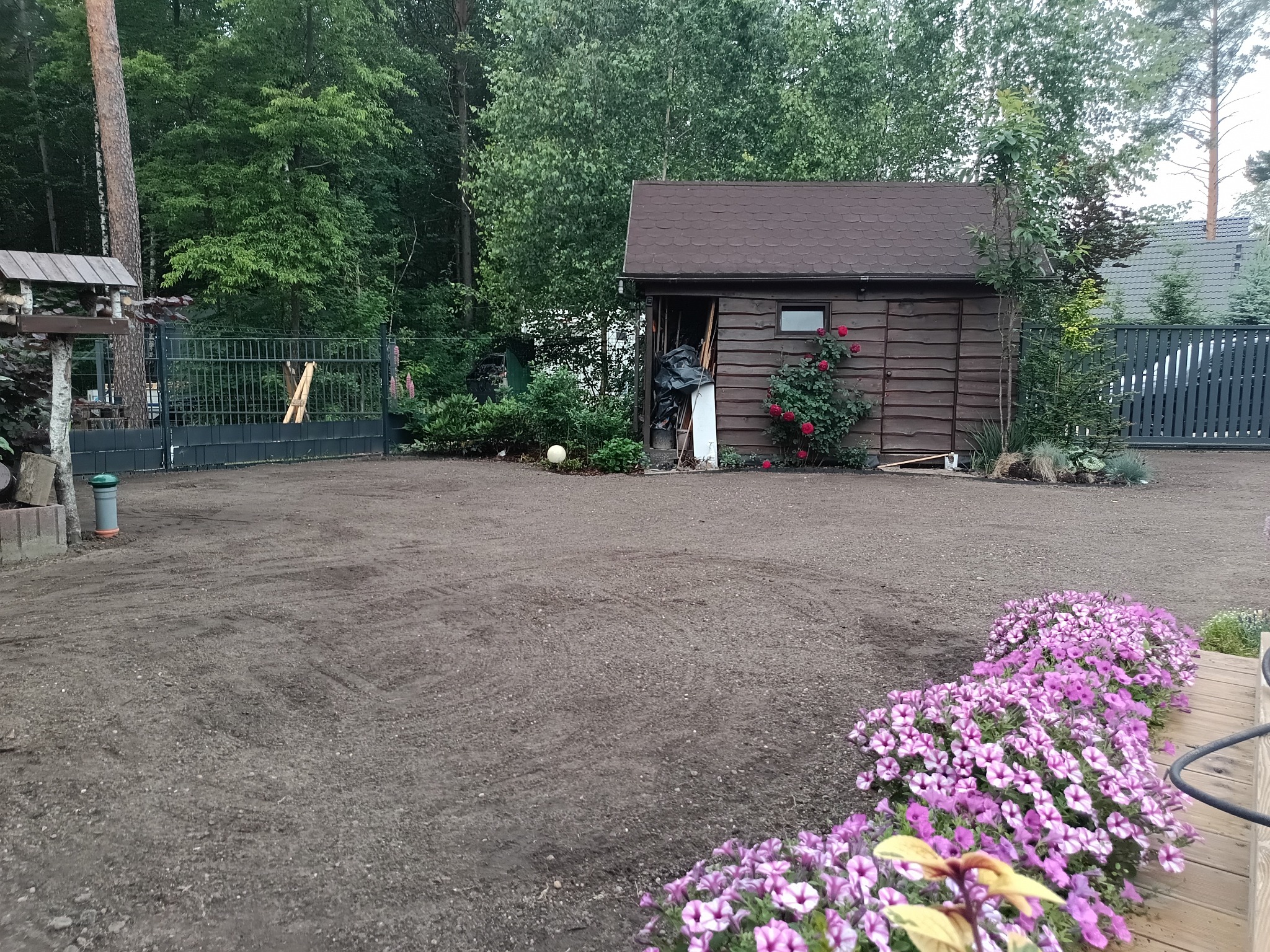 Przygotowany teren pod trawnik, z widocznym domkiem narzędziowym i rabatą kwitnących petunii na pierwszym planie. W tle drzewa i ogrodzenie.