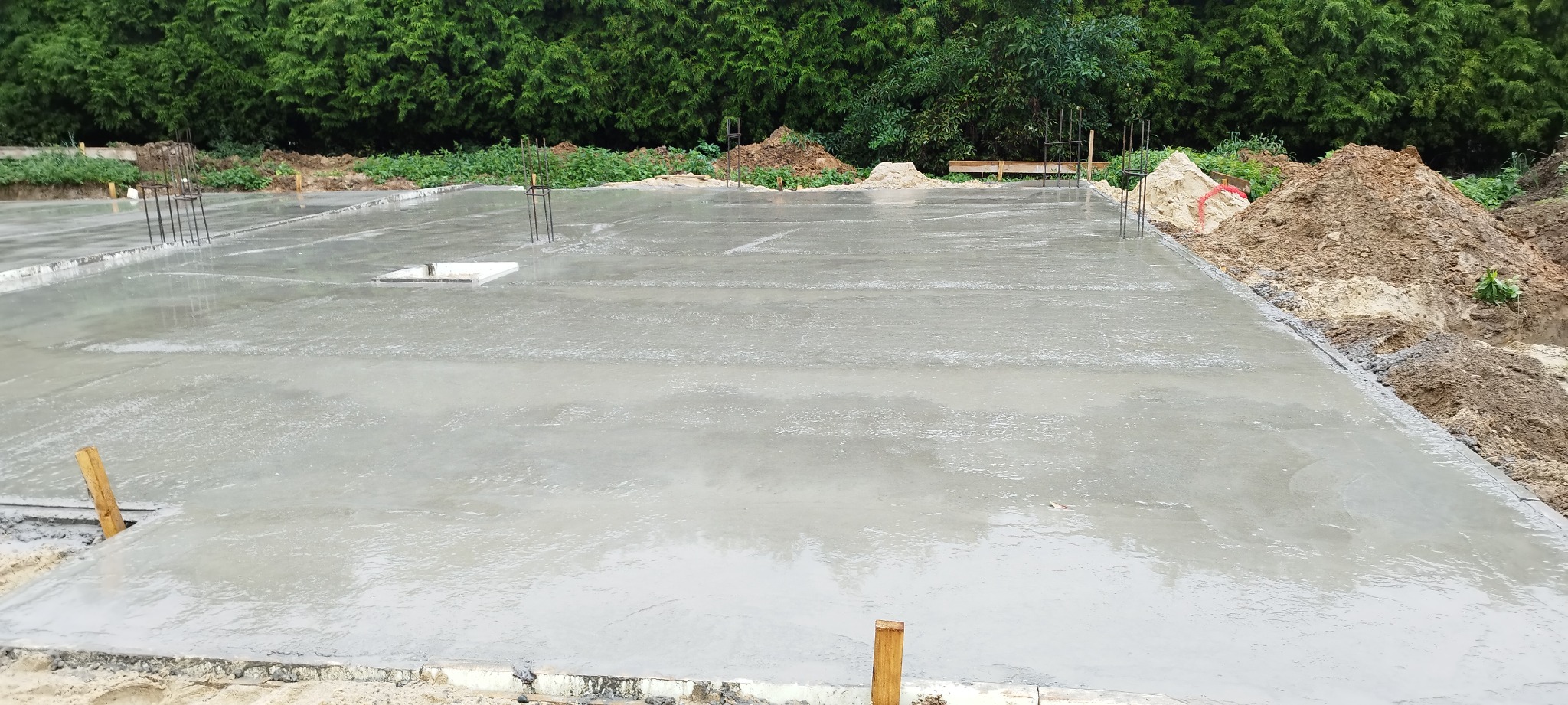 Świeżo wylana, mokra płyta fundamentowa z wystającymi prętami zbrojeniowymi, otoczona ziemią i zielenią.