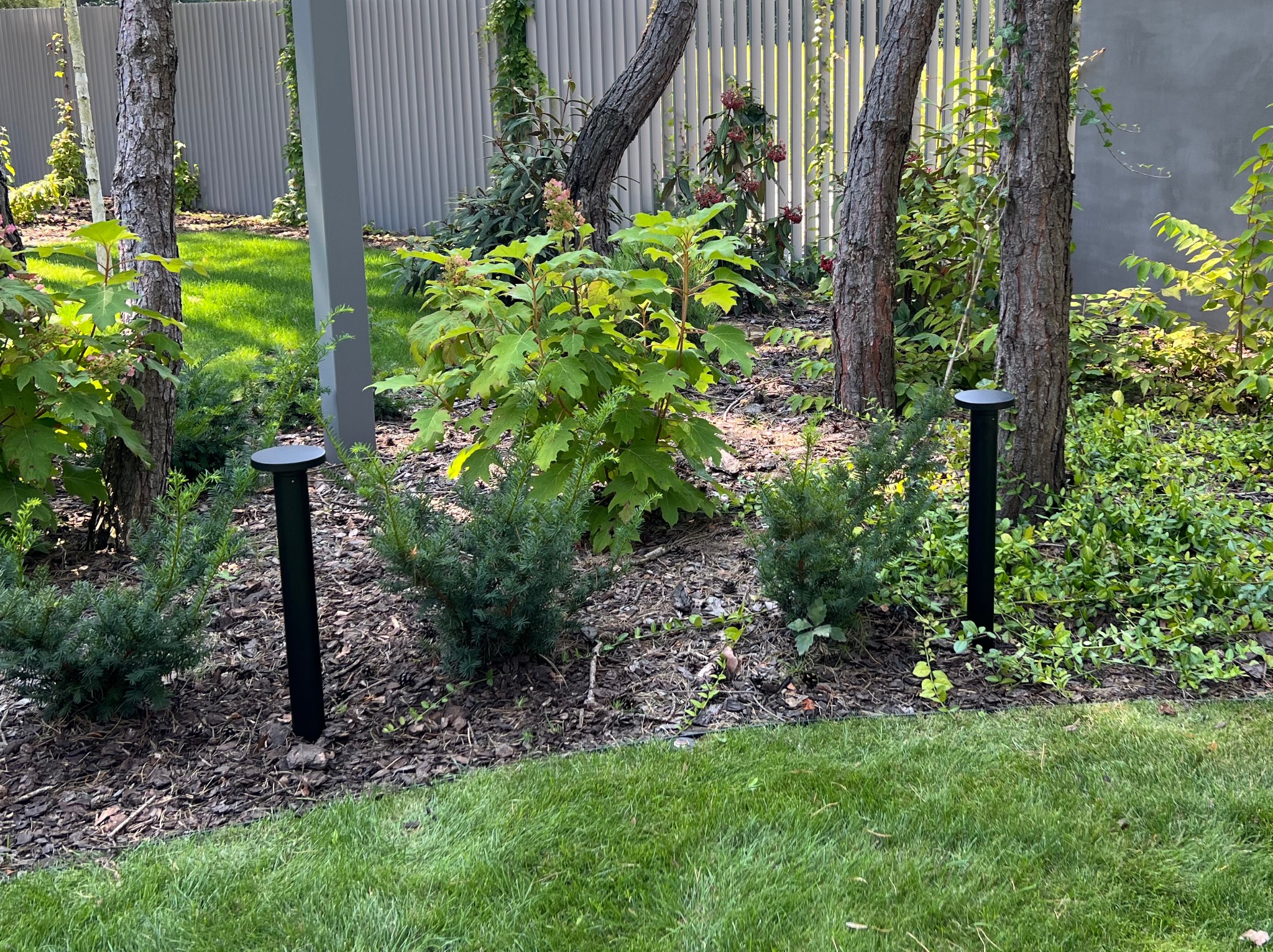 Oświetlenie ogrodowe w postaci niskich, czarnych lamp punktowych, rozmieszczonych wśród roślinności, na tle zielonego trawnika i szarego ogrodzenia.