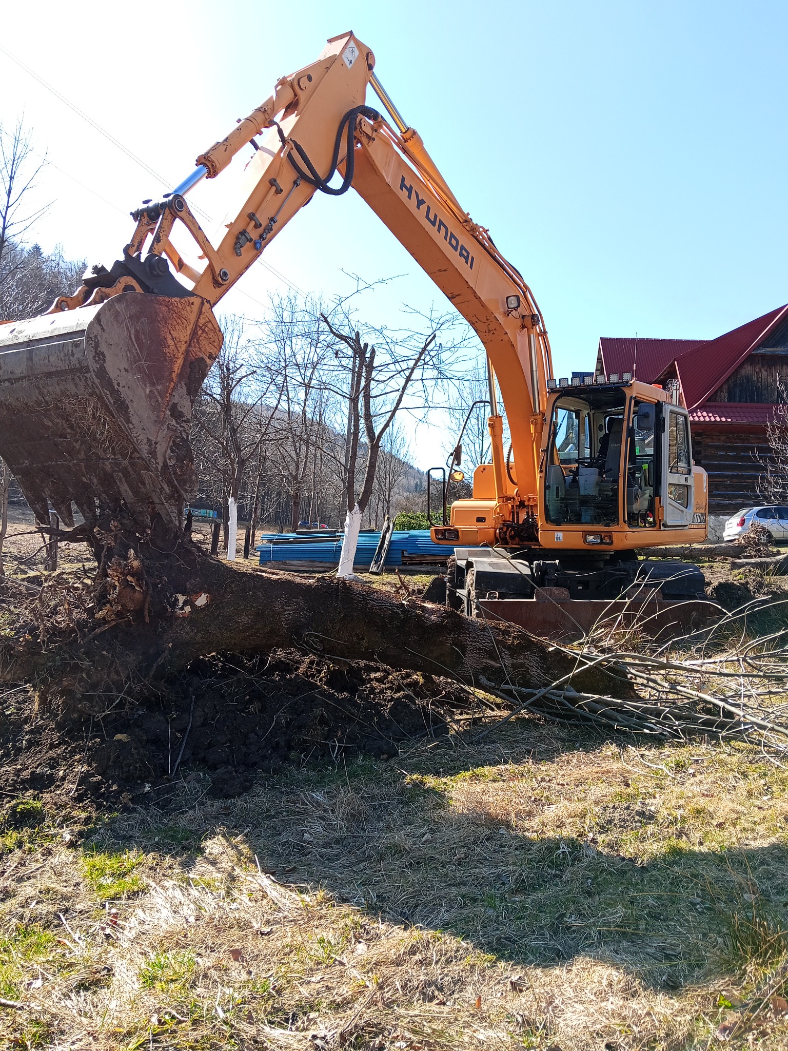 Pomarańczowa koparka Hyundai z łyżką nad powalonym drzewem na trawiastym terenie. W tle budynek z czerwonym dachem i błękitne rury.
