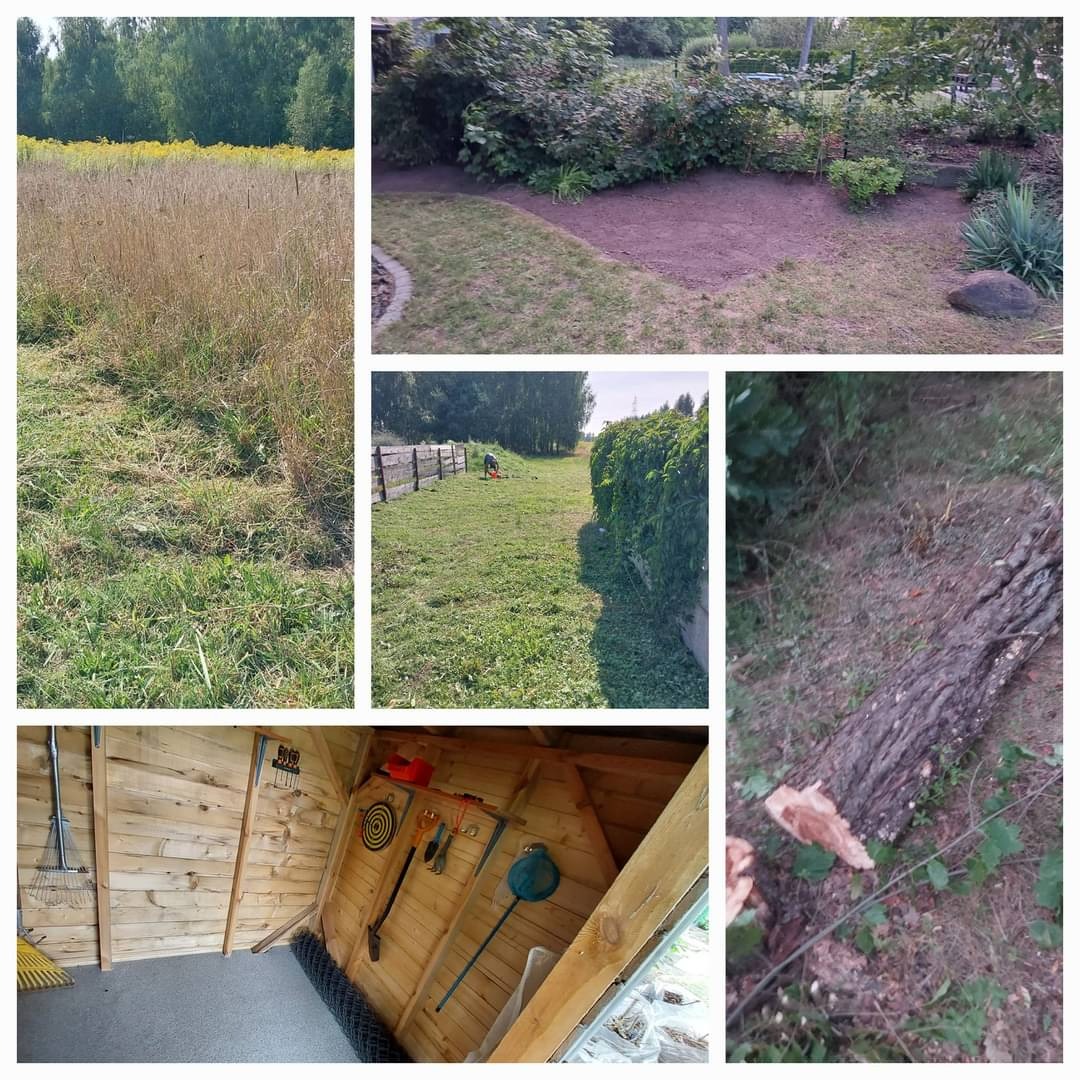 Mozaika zdjęć przedstawiająca prace ogrodowe: koszenie trawy wzdłuż ogrodzenia, przygotowane miejsce pod trawnik, wnętrze drewnianej szopy z narzędziami ogrodniczymi i ścięte drzewo leżące na ziemi.